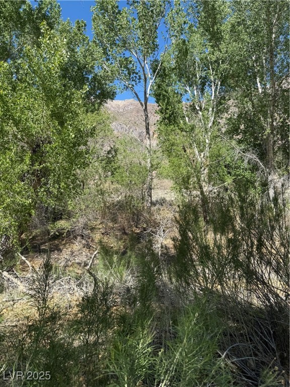 Carp Road Property Photo 31