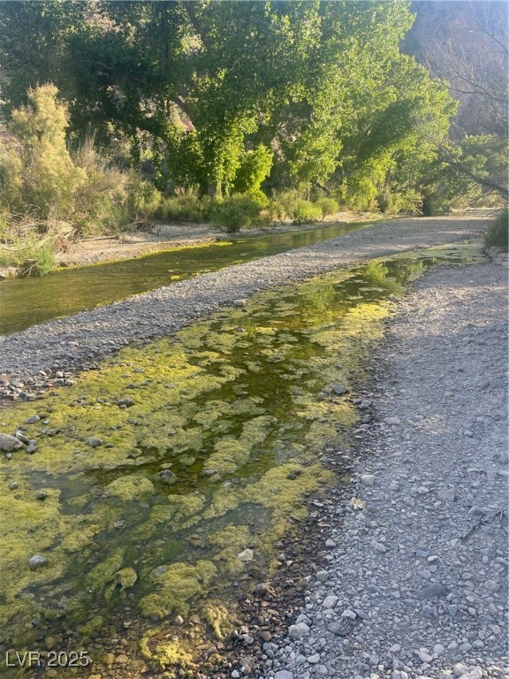 Carp Road Property Photo 36