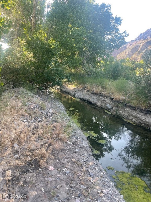 Carp Road Property Photo 38