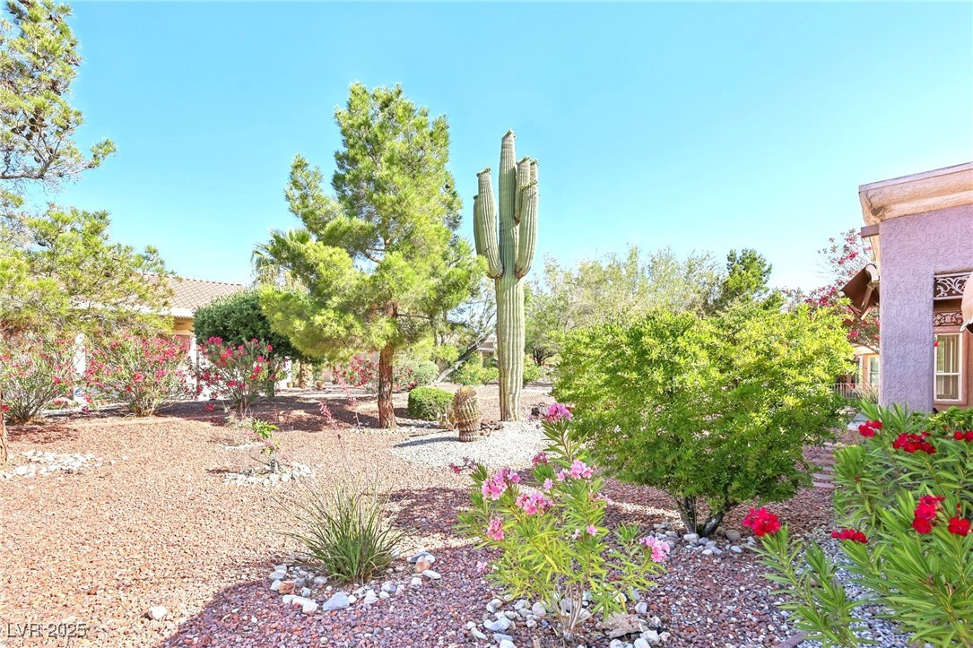 3013 Sungold Drive Property Photo 34