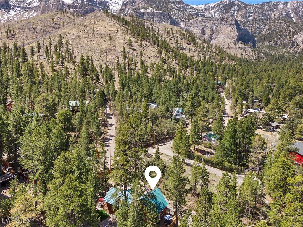 274 Ski Trail Road Property Photo 55
