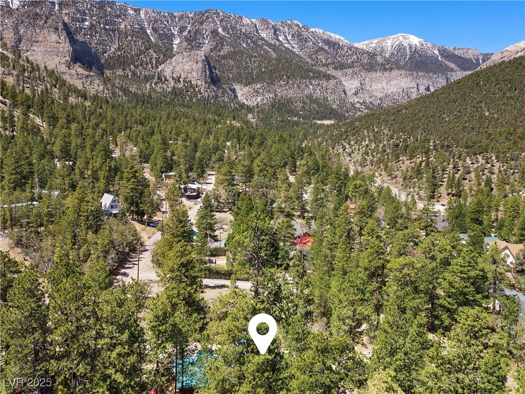 274 Ski Trail Road Property Photo 56