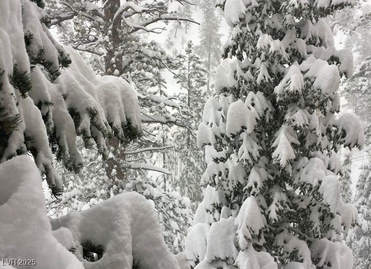 274 Ski Trail Road Property Photo 60