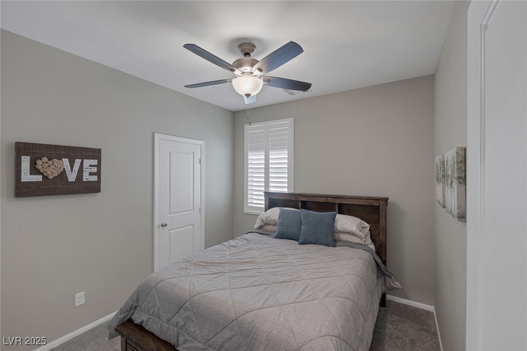 2827 Turnstone Ridge Street Property Photo 19