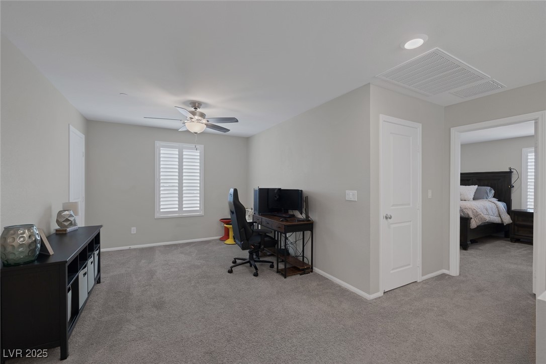 2827 Turnstone Ridge Street Property Photo 22