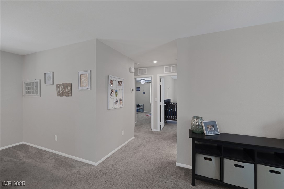 2827 Turnstone Ridge Street Property Photo 23