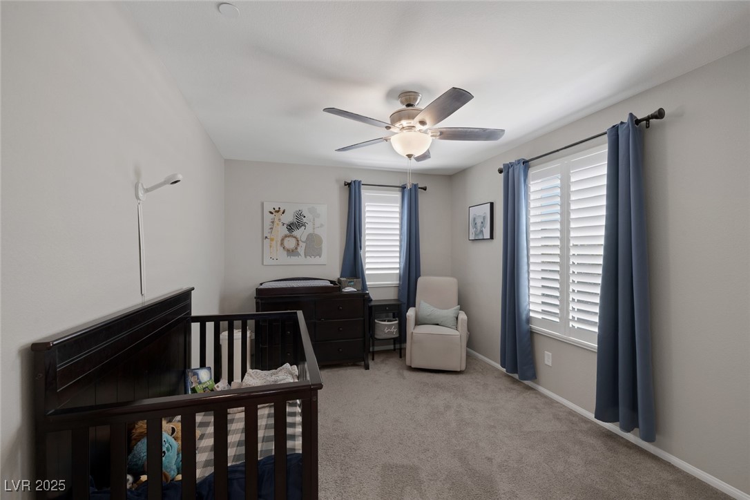 2827 Turnstone Ridge Street Property Photo 31