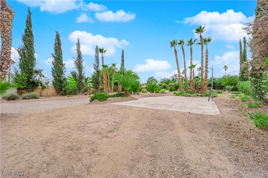 3065 South Torrey Pines Drive Property Photo 13