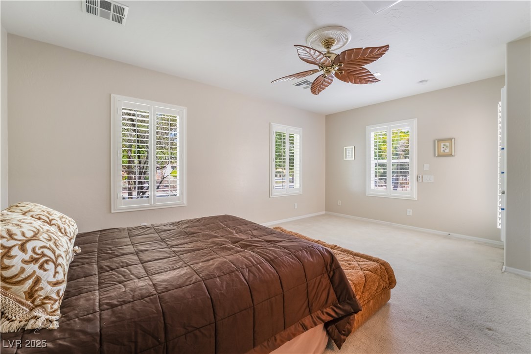 8236 Imperial Lakes Street Property Photo 33