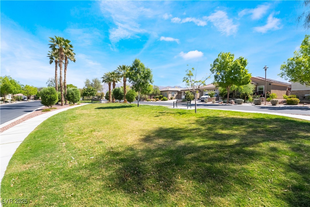 8236 Imperial Lakes Street Property Photo 46