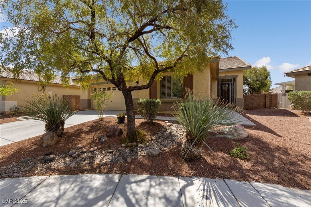 4217 Box Canyon Falls Avenue Property Photo 1