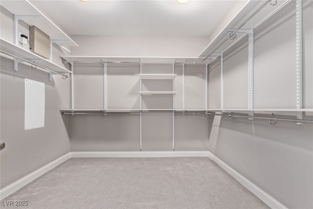 8797 Pinley Spring Street Property Photo 25