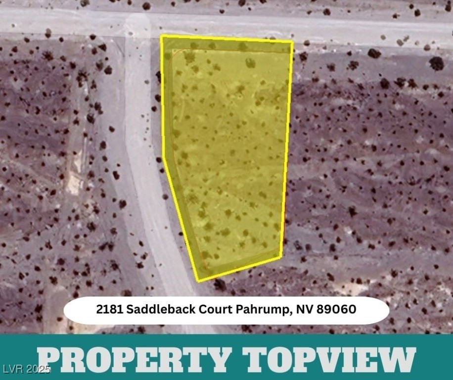 2181 Saddleback Court Property Photo 5