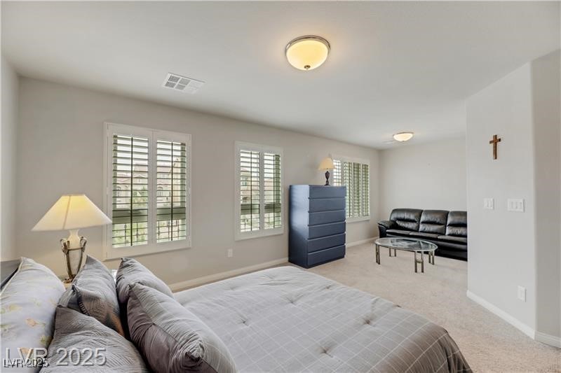 8176 Duncan Peak Court Property Photo 33