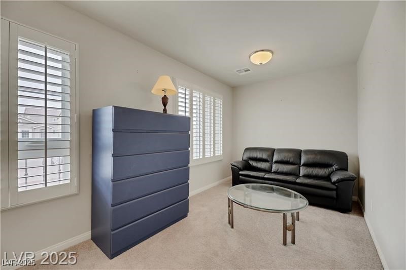 8176 Duncan Peak Court Property Photo 36