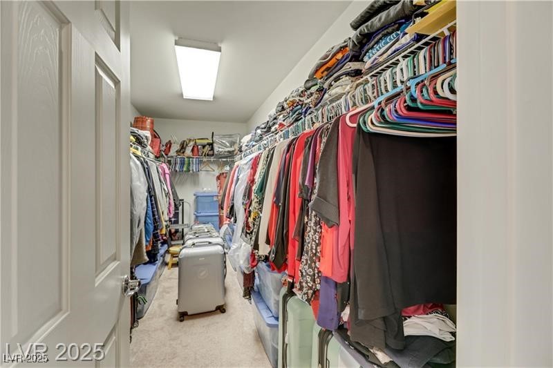 8176 Duncan Peak Court Property Photo 41