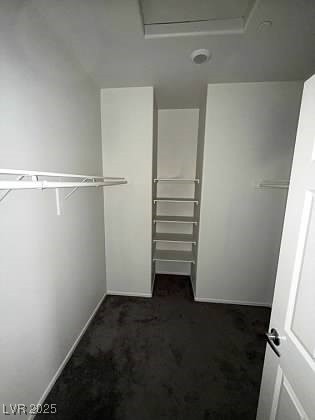 4645 Fuchsia Nights Avenue 103 Property Photo 28