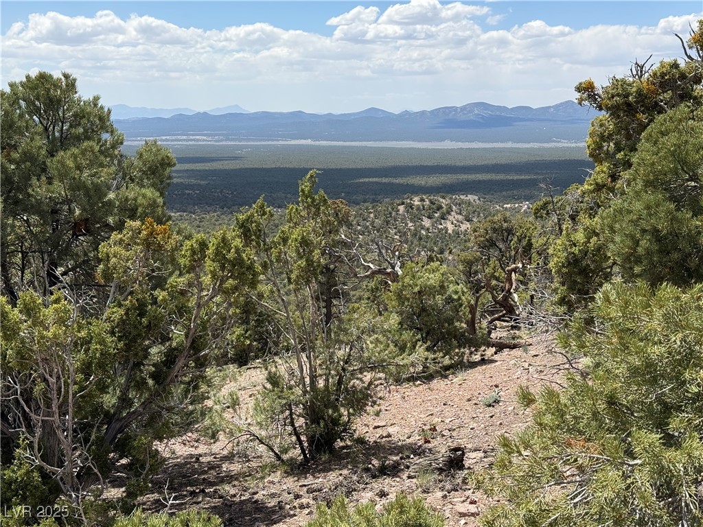 Hilltop Property Photo 7