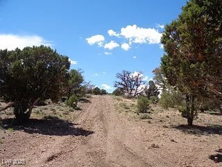 Hilltop Property Photo 9