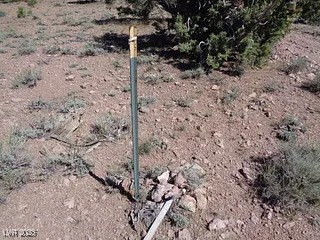 Hilltop Property Photo 10