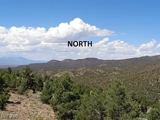 Hilltop Property Photo 12