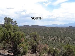 Hilltop Property Photo 13