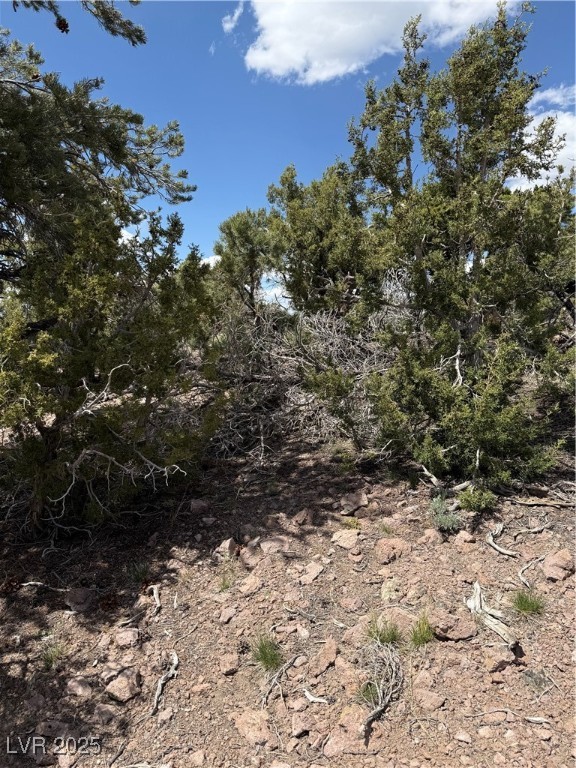 Hilltop Property Photo 17