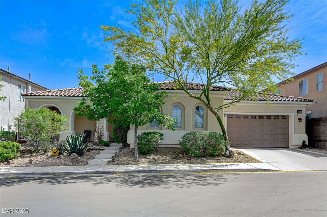 9243 White Waterfall Avenue Property Photo 2