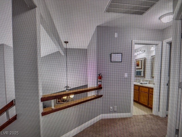 390 Rushing Creek Court Property Photo 19