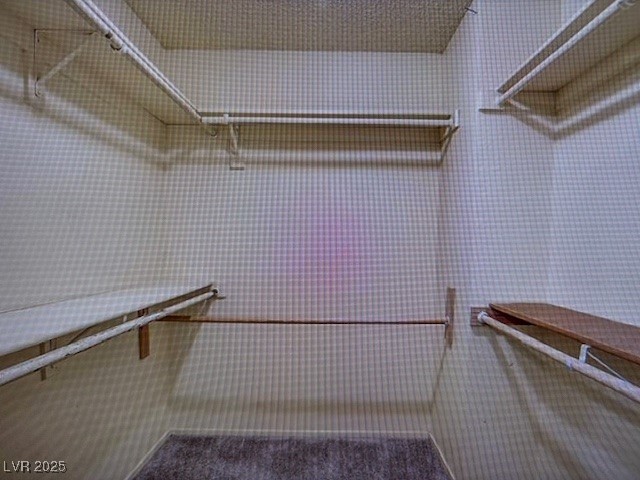 390 Rushing Creek Court Property Photo 21