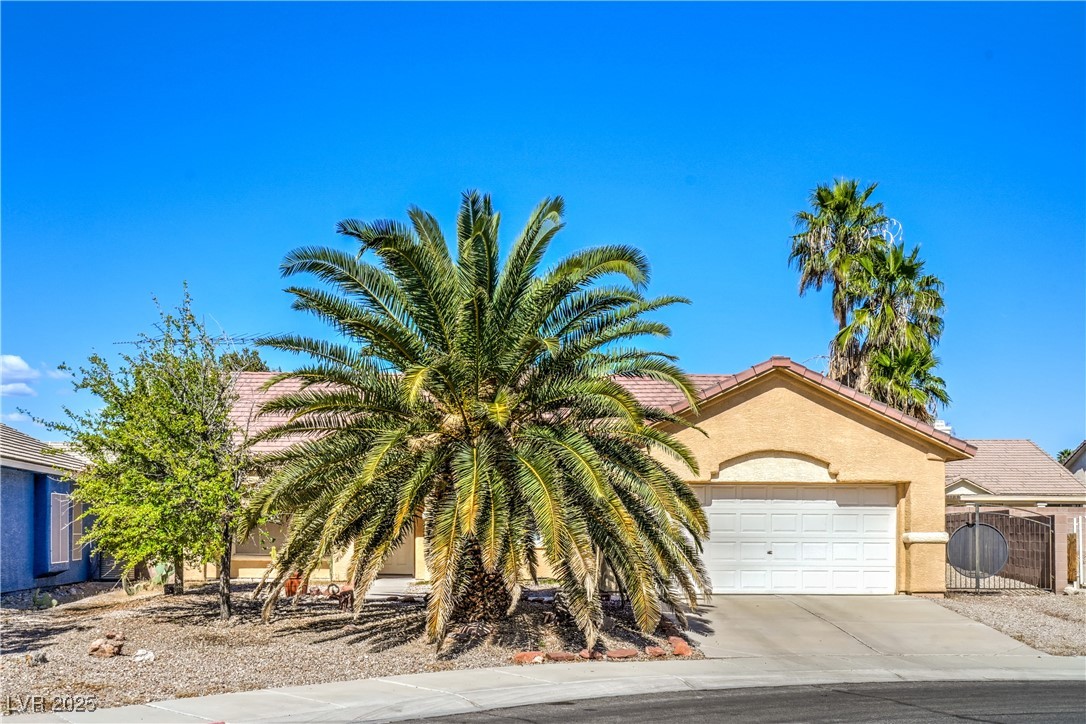 2809 Mountain Violet Court Property Photo 38