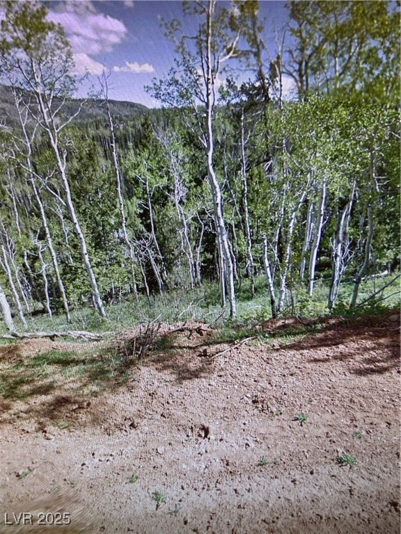 524 West Ski View Drive Property Photo