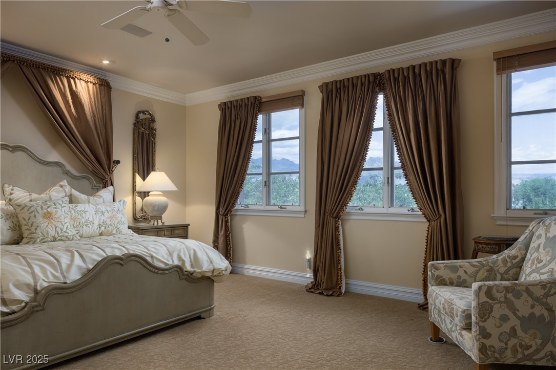 1413 Iron Hills Lane Property Photo 22