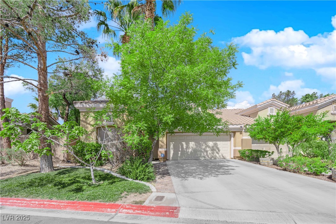 6631 Creeping Thyme Street Property Photo 1