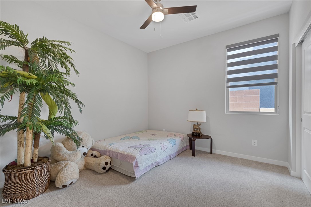 6934 Alexandrite Peak Street Property Photo 22
