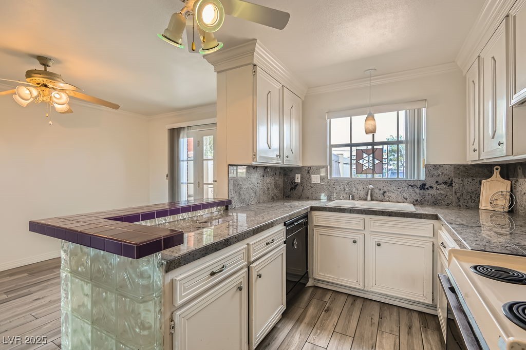1034 Tam O Shanter Property Photo 7