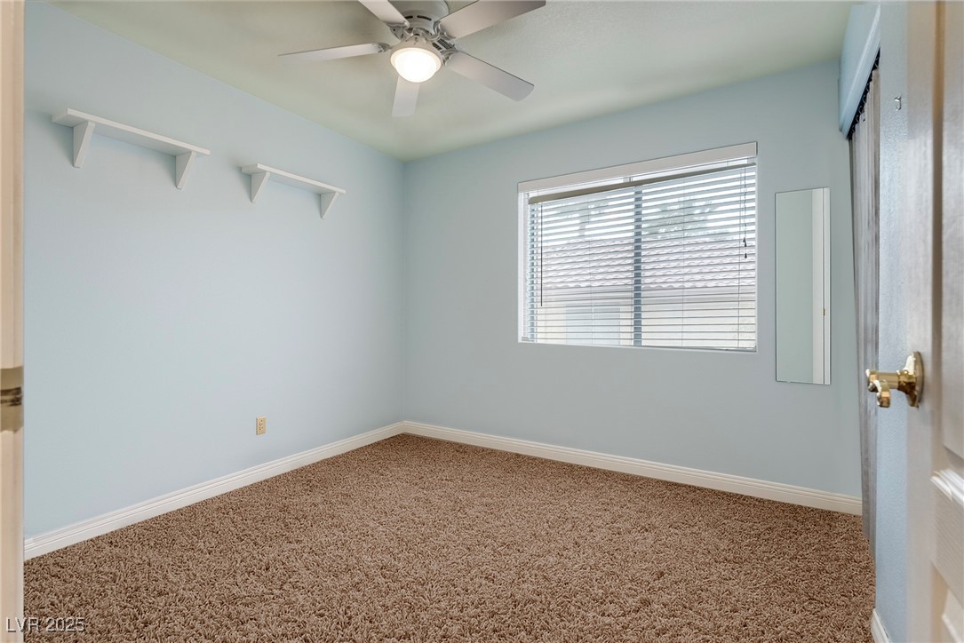 8253 Ruby Mountain Way Property Photo 43