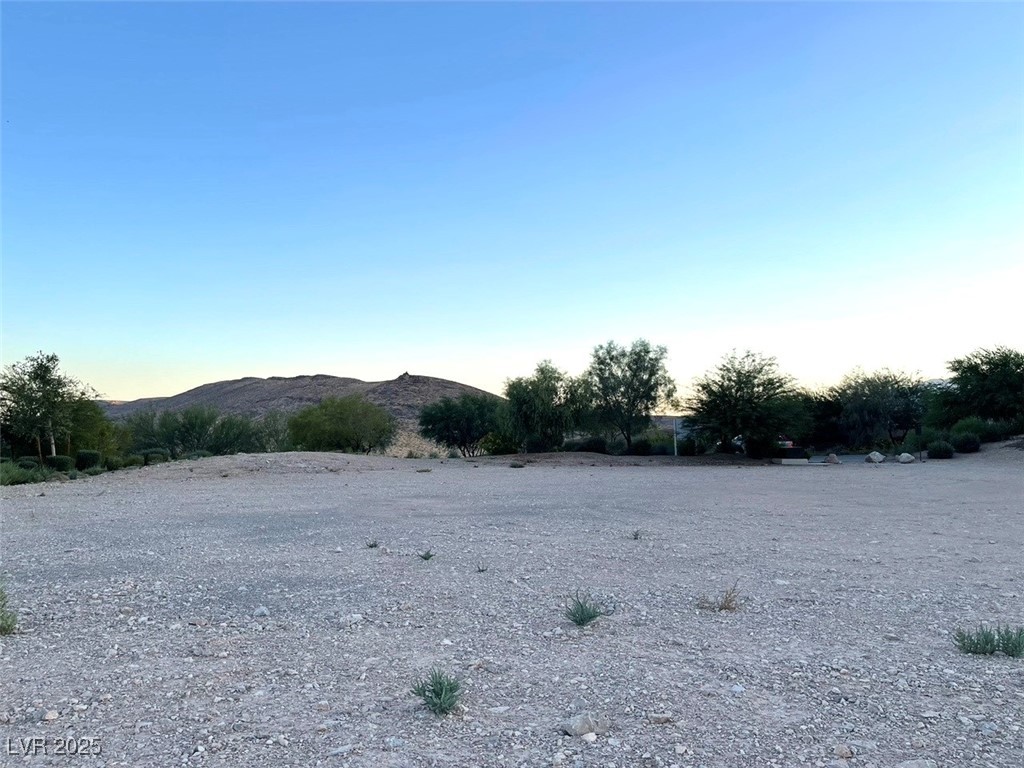 11248 Canyon Pass Drive Property Photo 4