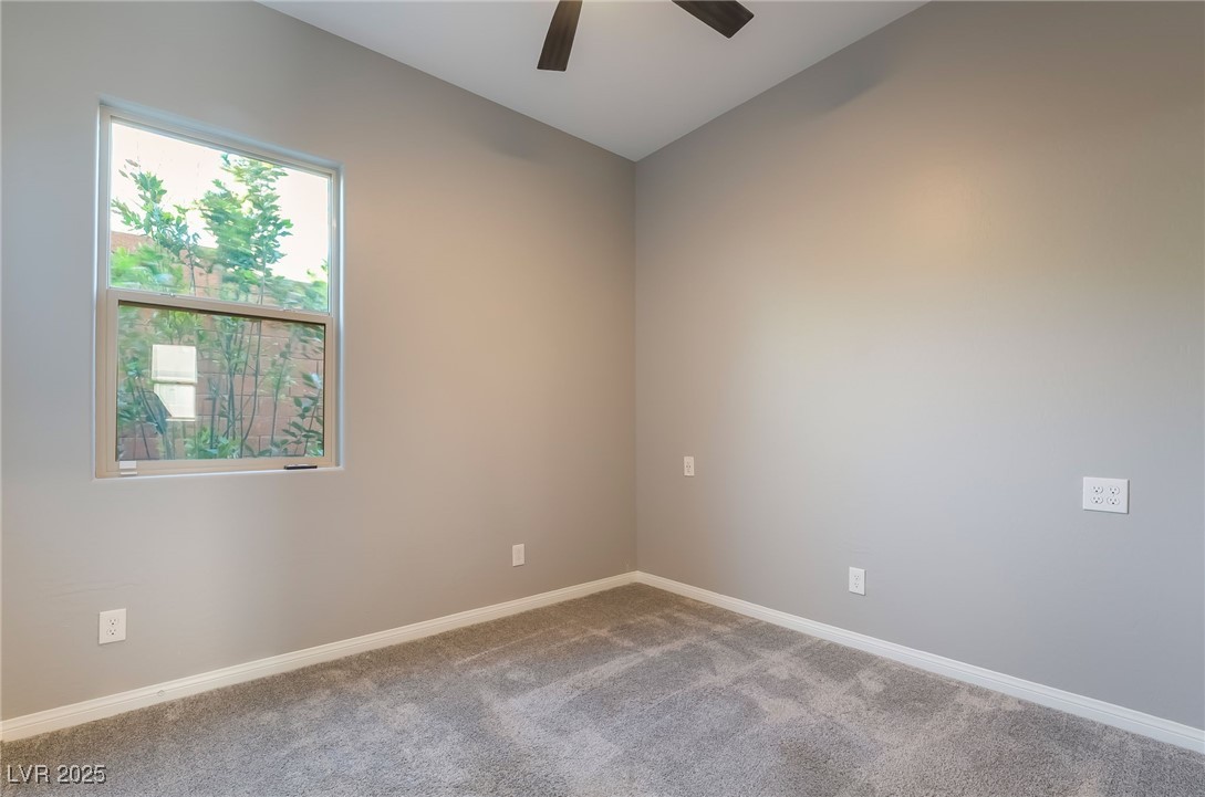 10793 Pastel Sunset Court Property Photo 34