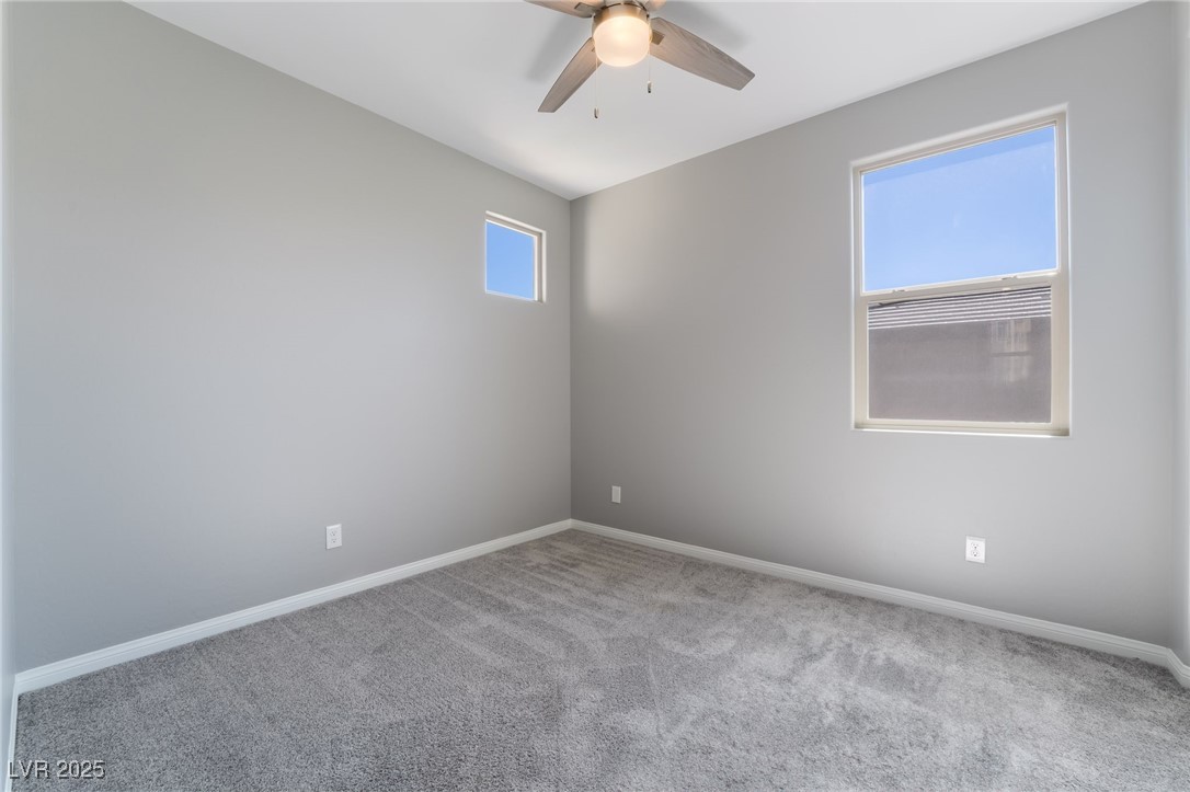 10793 Pastel Sunset Court Property Photo 40