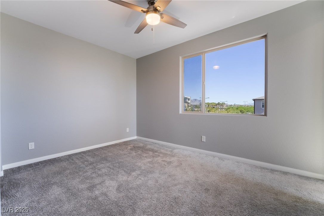 10793 Pastel Sunset Court Property Photo 42
