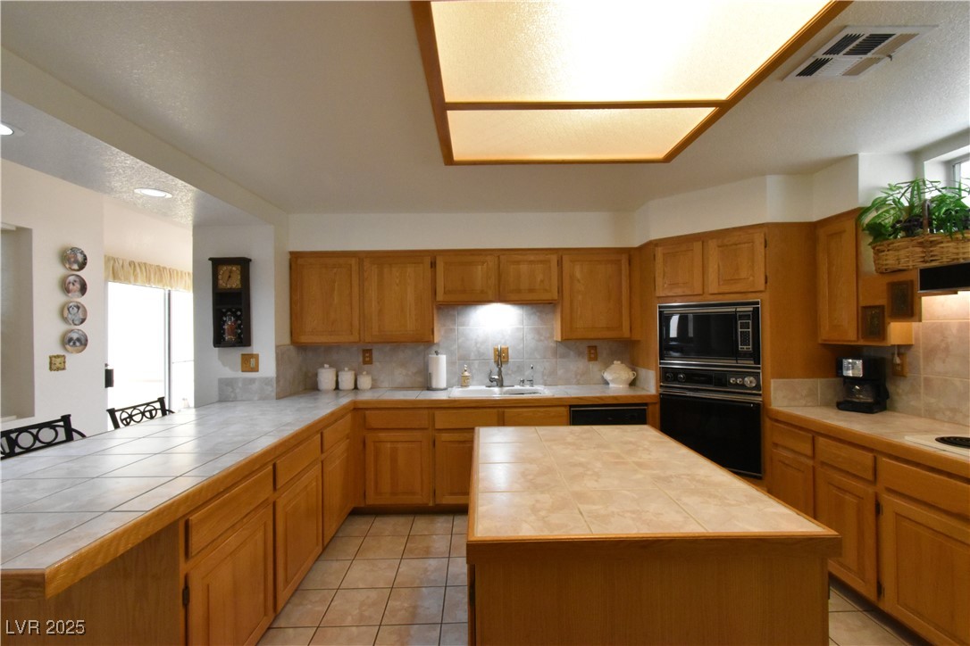 325 Wild Plum Lane Property Photo 19
