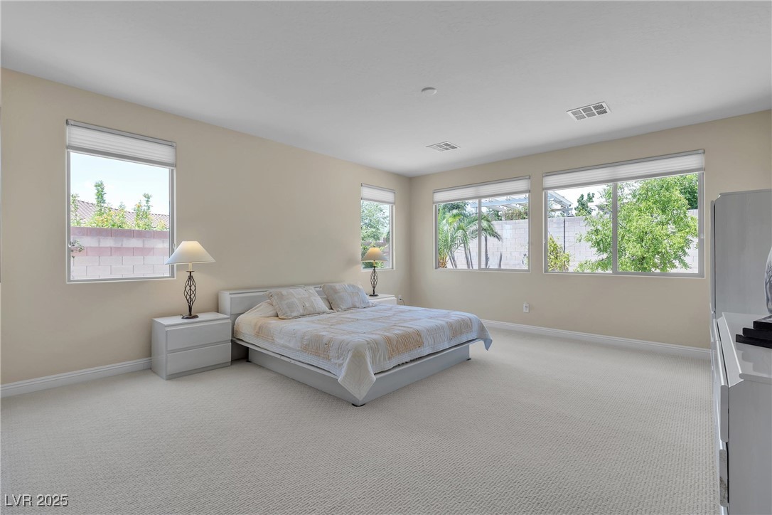 8985 South Tomsik Street Property Photo 39