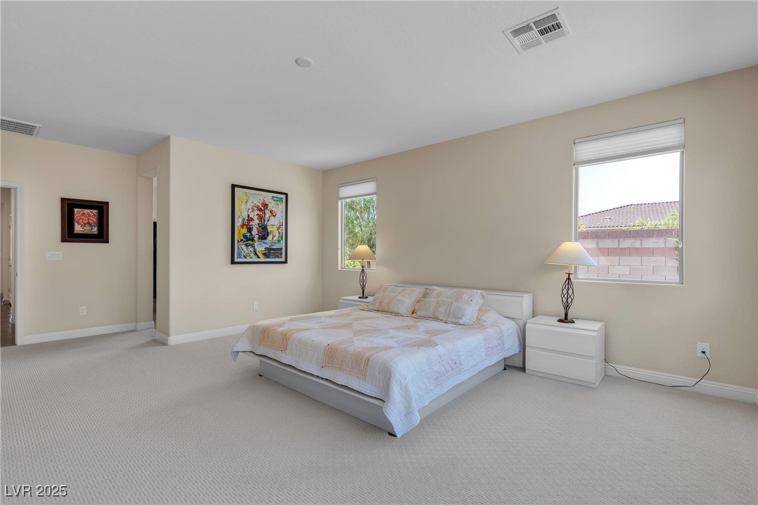 8985 South Tomsik Street Property Photo 41