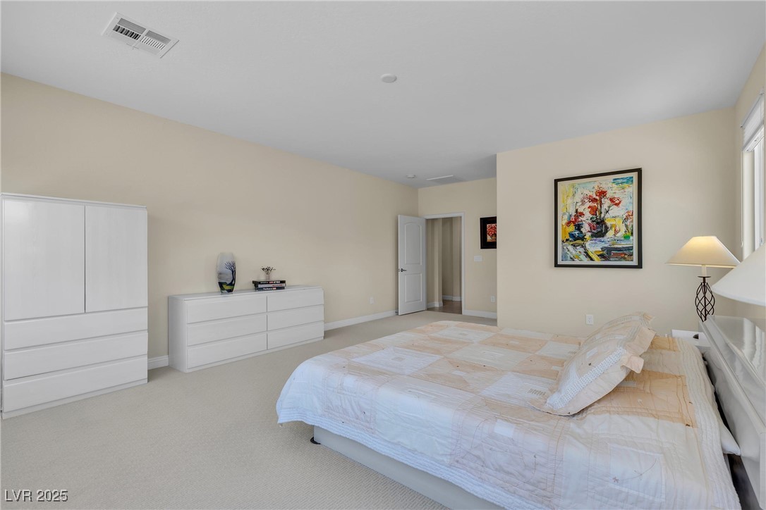 8985 South Tomsik Street Property Photo 42