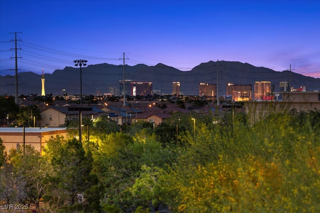 10470 Dove Meadow Way Property Photo 39