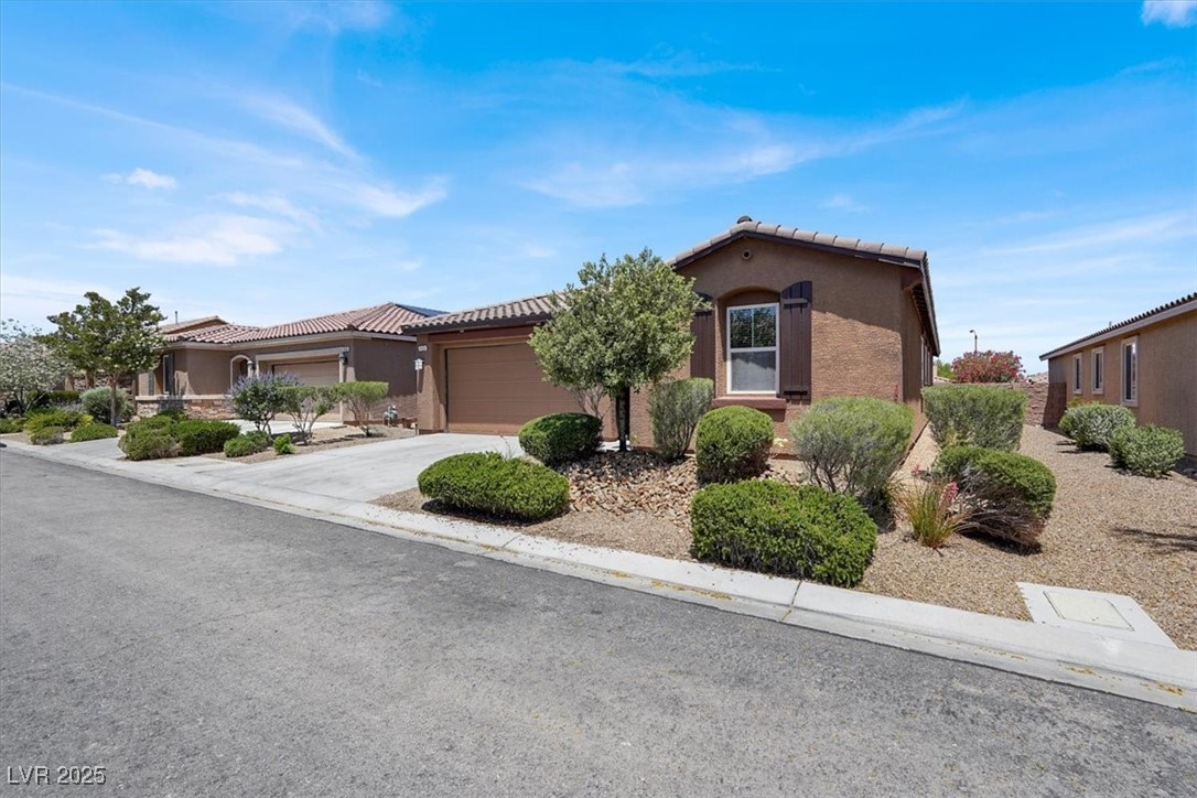 7428 Alamo Ranch Avenue Property Photo 2