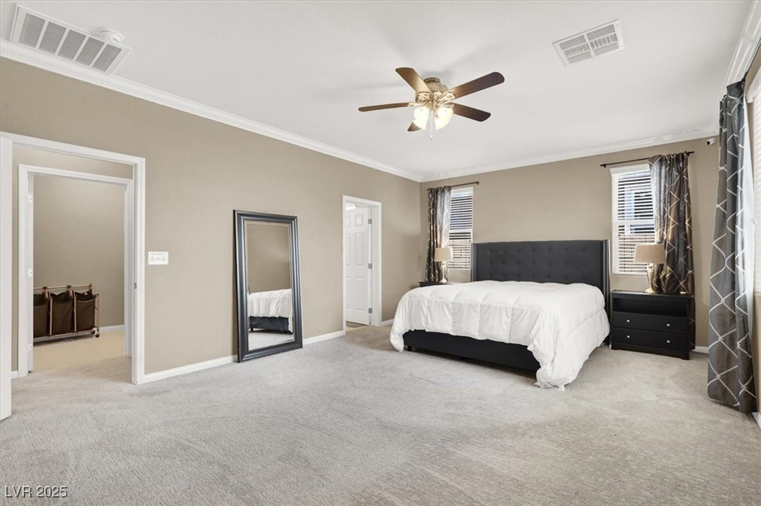 7428 Alamo Ranch Avenue Property Photo 20