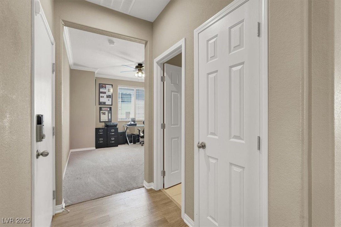 7428 Alamo Ranch Avenue Property Photo 28