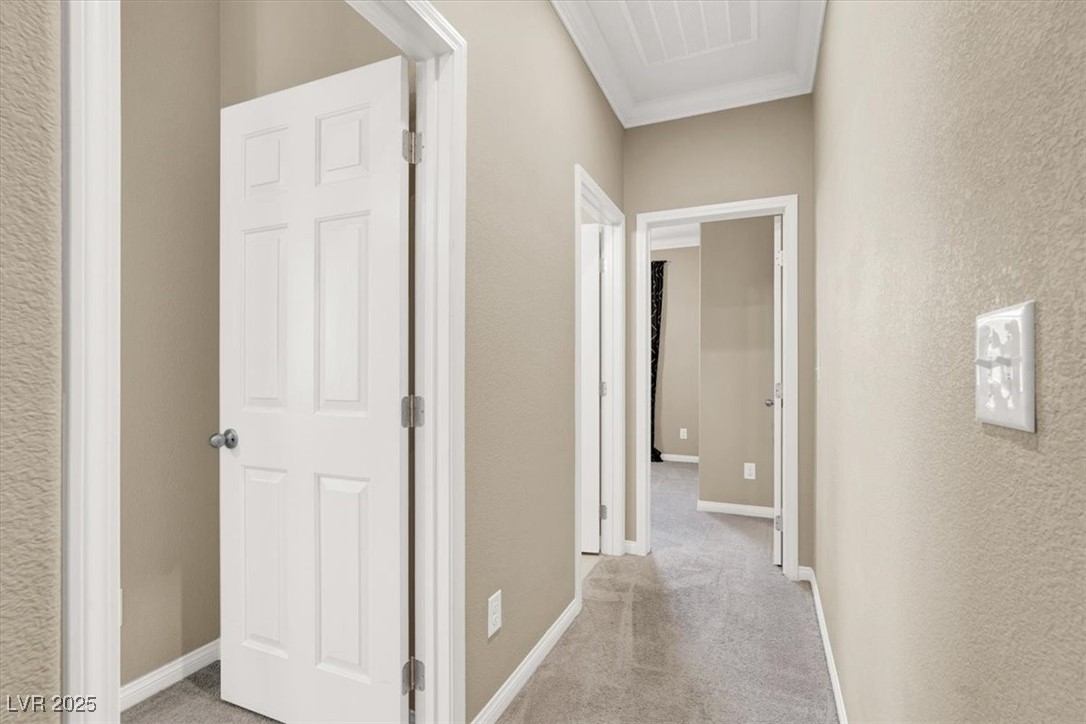 7428 Alamo Ranch Avenue Property Photo 31